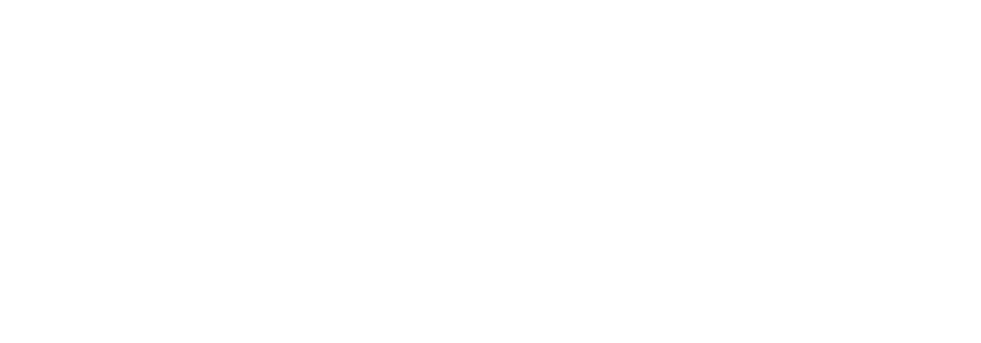 silent-web-asset-whlogo